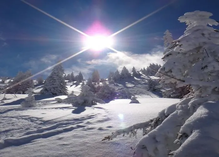 By Managers Йохберг