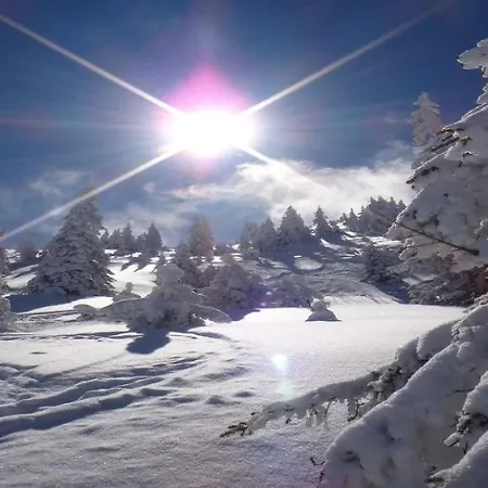 By Managers Γιόχμπεργκ